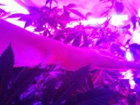 20171215_125420.jpg 20171215_125420.jpg