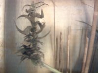 vlcsnap-00001 копия.jpg