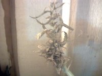 vlcsnap-00003 копия.jpg