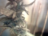 vlcsnap-00004 копия.jpg