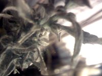 vlcsnap-00006 копия.jpg