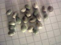 vlcsnap-00003 копия.jpg