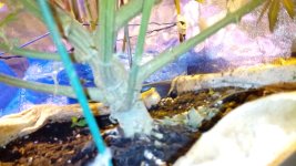 IMG_20171215_190945.jpg