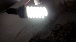 IMG_20171219_104523.jpg