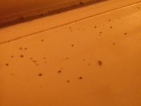20171219_183855.jpg