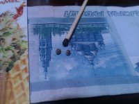 СЕМКИ.jpg