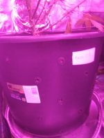 IMG_20171220_190424.jpg