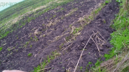 путешествие._часть_1_(1).gif