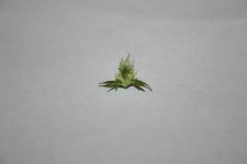 IMG_0254.JPG