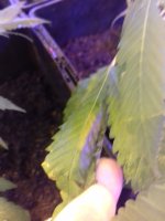 20171220_202816.jpg