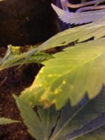 20171220_202829.jpg