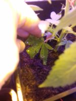 20171220_202845.jpg