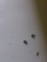 20171221_142905.jpg