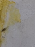 20171221_142858.jpg
