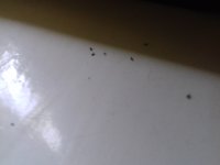 20171221_142835.jpg