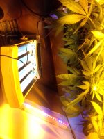 20171222_213105.jpg