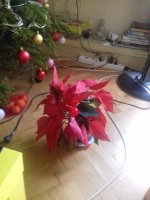 20171224_093455.jpg