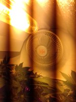 20171224_133359.jpg