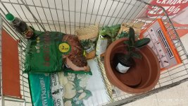 IMG_20171219_192555.jpg