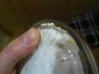 DSCN4340.JPG