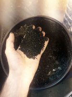 20171227_183804.jpg