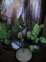 P_20171219_092808_DF.jpg