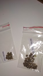 IMG_20171228_095014.jpg