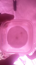 20171228_115307.jpg
