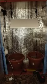 IMG_20171228_213937.jpg