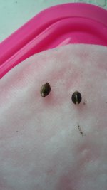20171229_135832.jpg