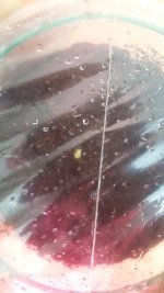 20171231_113859.jpg