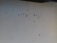 20171231_152353.jpg