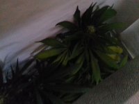 20180103_123745.jpg