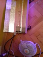 20180103_203119.jpg