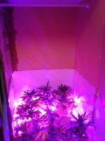 20180103_203126.jpg
