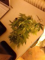 20180103_211857.jpg