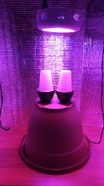 IMG_20180104_160554.jpg