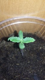 20180104_203040.jpg