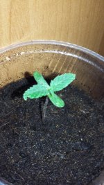 20180105_210458.jpg