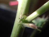 20180106_145603.jpg