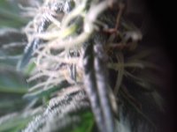 20180106_141727.jpg