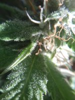 20180106_141535.jpg