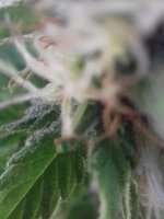 20180106_141134.jpg