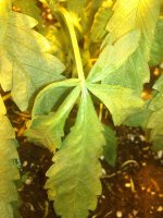 IMG_20180108_014017.jpg