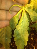 IMG_20180108_014038.jpg