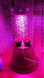 IMG_20180108_143421.jpg