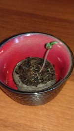 IMG_20180108_143454.jpg