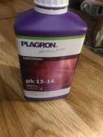 P_20180110_161010.jpg