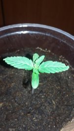 20180106_224913.jpg