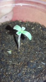 20180108_200903.jpg